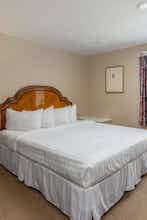 Hotel Butterfly Grove Inn photo 5