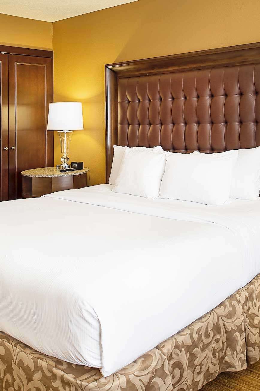 Hotel Hilton St. Louis Airport photo 1