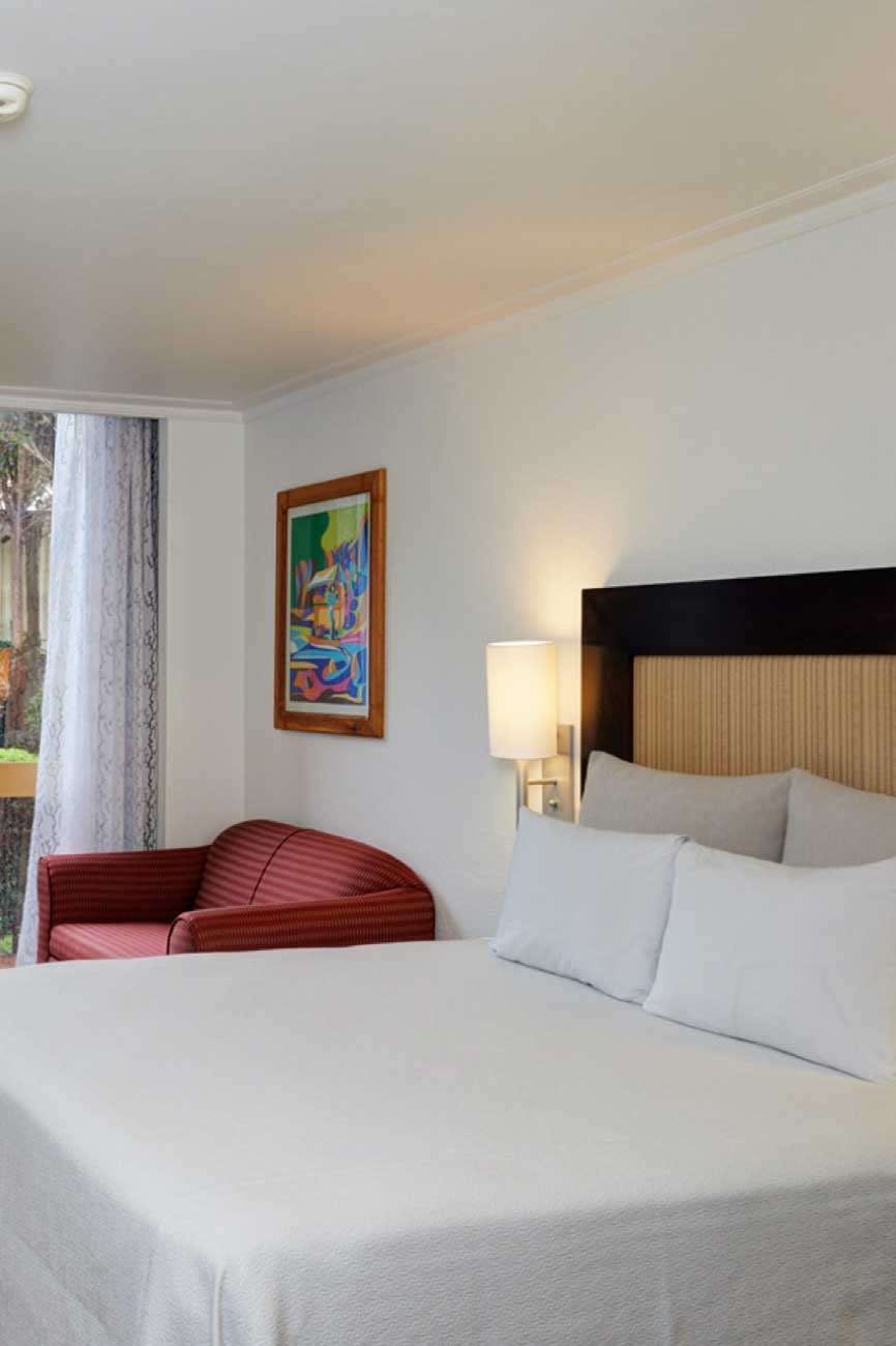 Hotel Hotel Royal Reforma photo 1