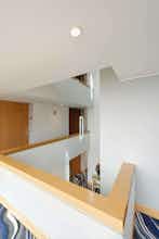 Hotel Hotel Royal Reforma photo 3