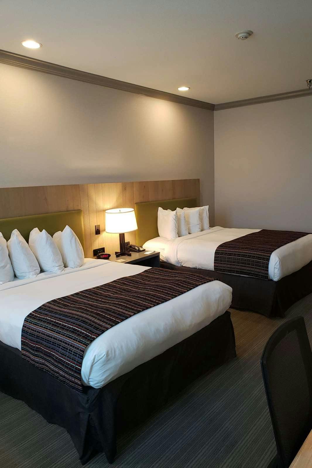 Hotel Country Inn & Suites by Radisson, Metairie (New Orleans), LA photo 2