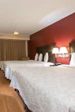 Hotel Red Roof PLUS+ West Springfield photo 3