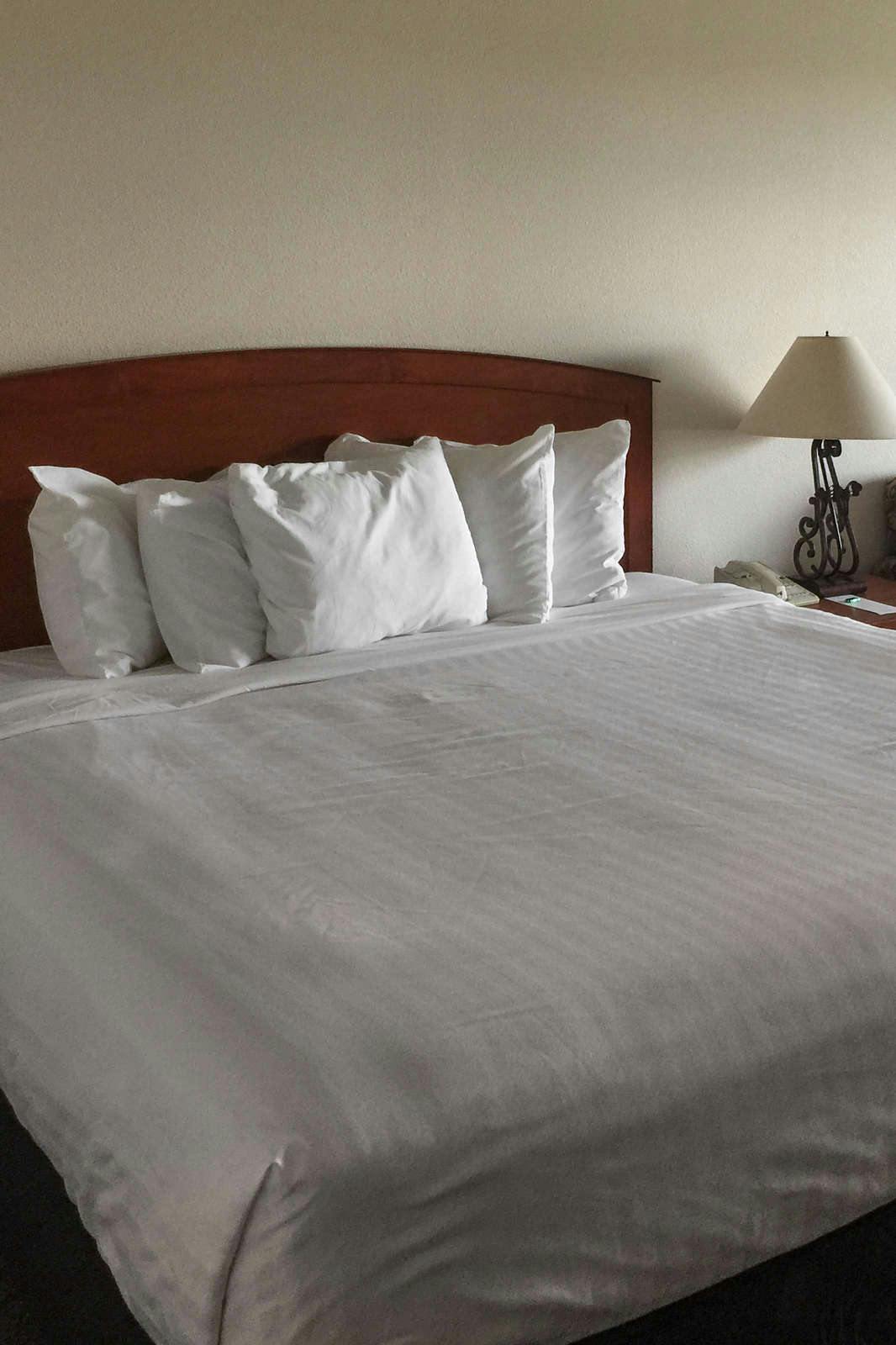 Hotel River Lodge And Grill photo 2