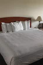 Hotel River Lodge And Grill photo 2