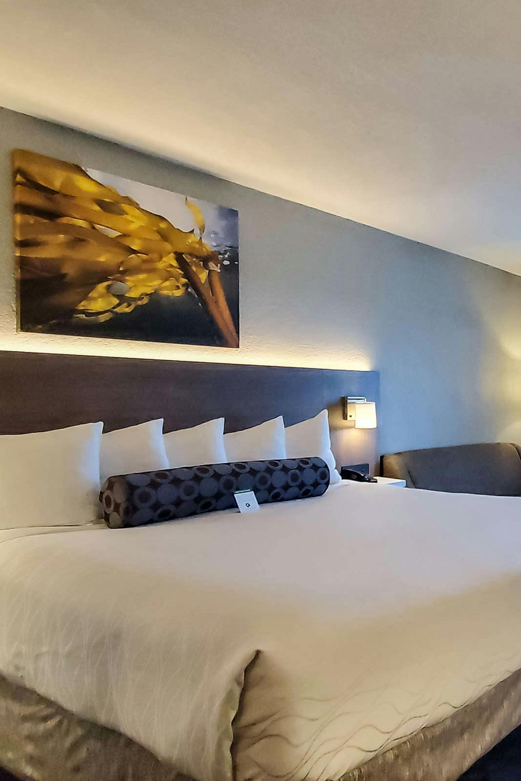 Hotel Best Western Plus Hollywood/Aventura photo 2