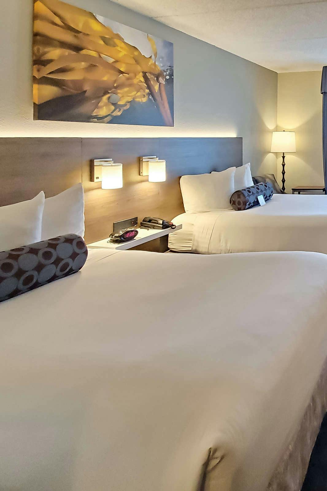 Hotel Best Western Plus Hollywood/Aventura photo 4