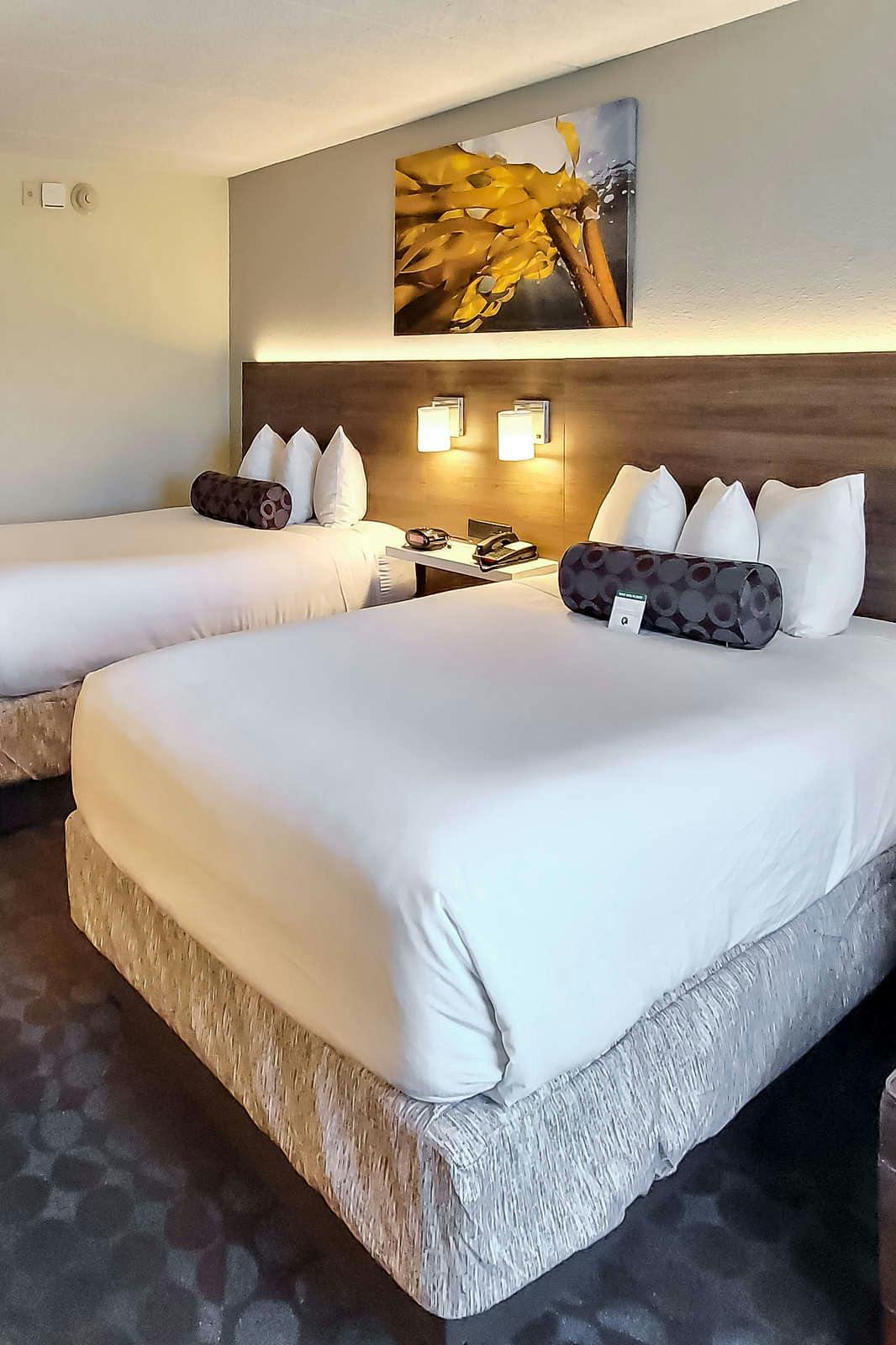 Hotel Best Western Plus Hollywood/Aventura photo 3