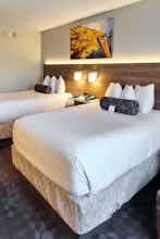 Hotel Best Western Plus Hollywood/Aventura photo 3