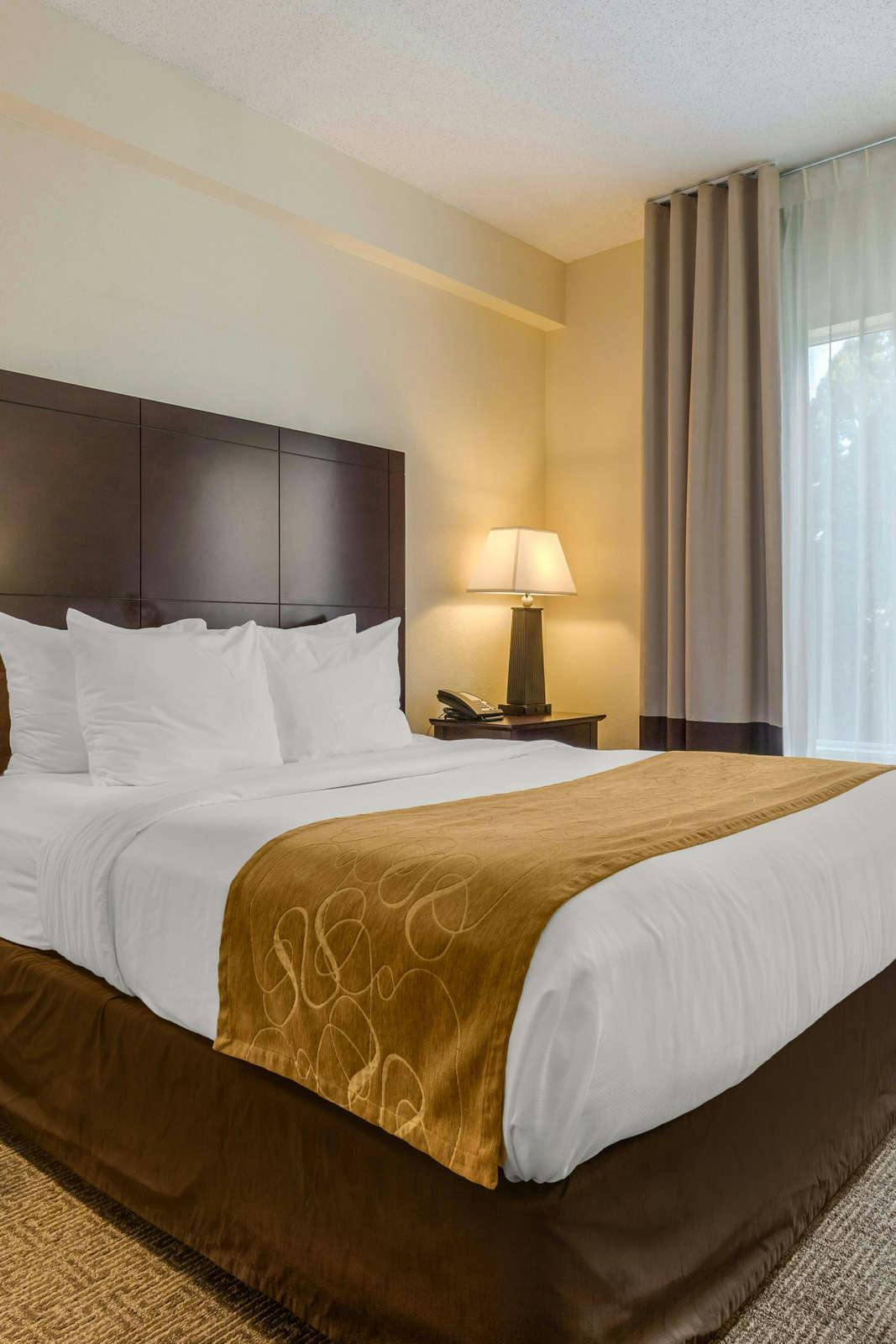 Comfort Suites Gastonia Gastonia Hoteltonight