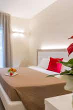 Hotel Hotel Amicizia Rimini photo 2