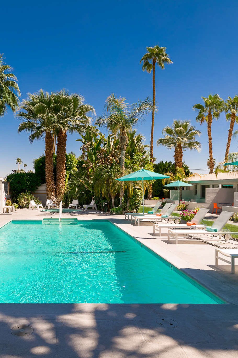 Hotel BelleVue Oasis - Adults Only photo 2