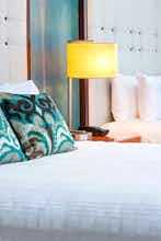 Hotel Hotel Indigo Savannah Historic District by IHG photo 3