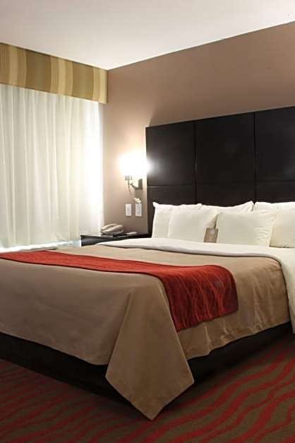 Comfort Inn Los Angeles Near Hollywood Los Angeles Hoteltonight