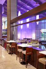 Hotel Executive Plaza Hotel & Conference Centre Metro Vancouver photo 1