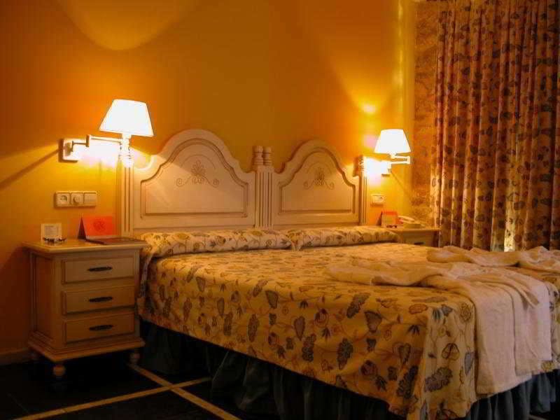 Hotel Palacio de la Viñona photo 1