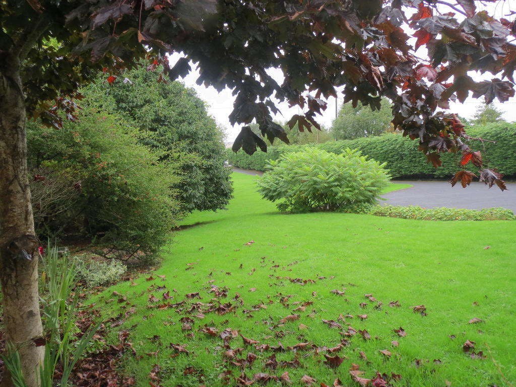 Hotel Abbey View photo 3