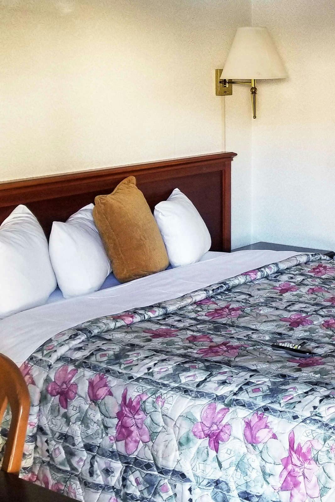 Hotel Pacific Heights Inn photo 3