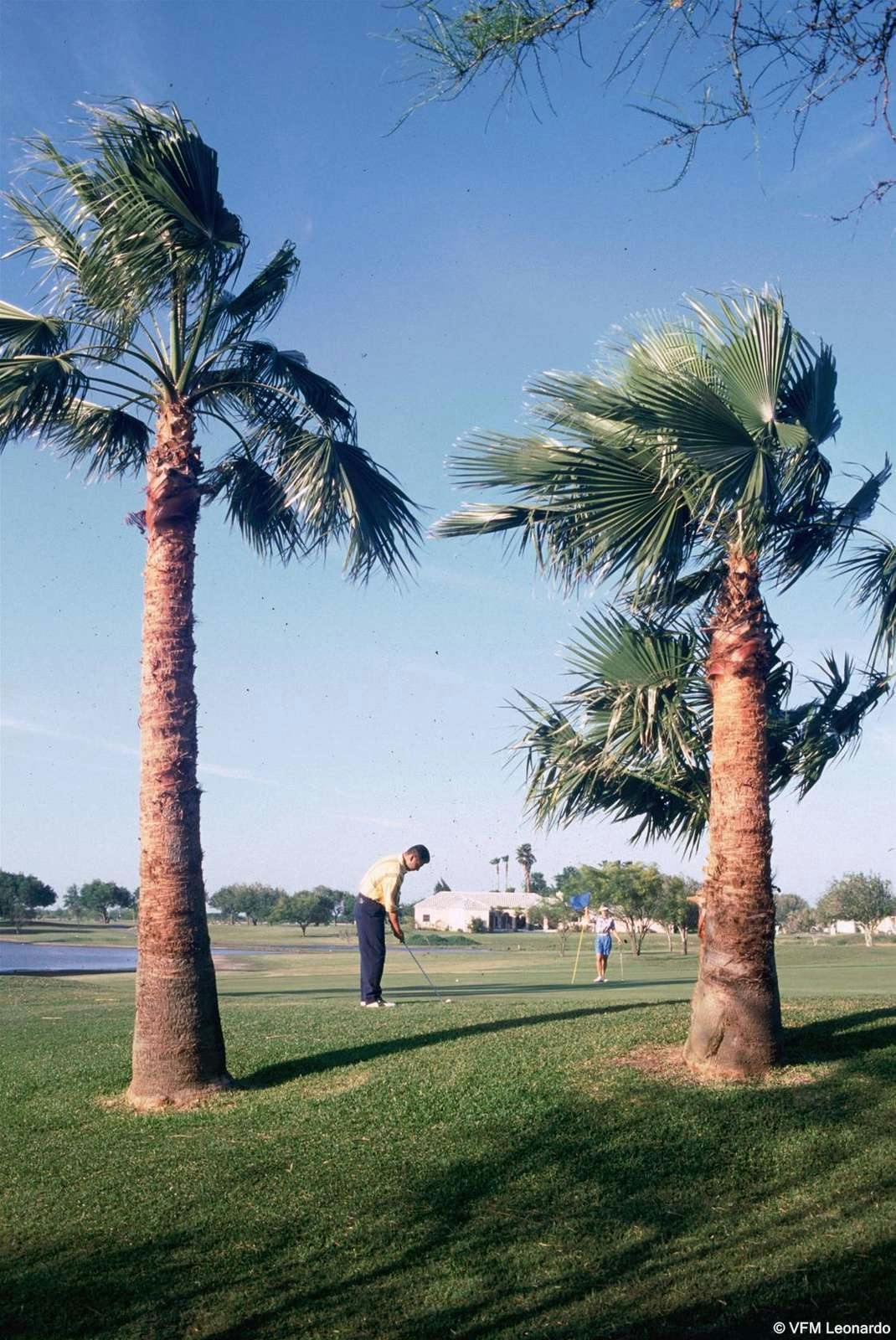 Rancho Viejo Resort and Country Club