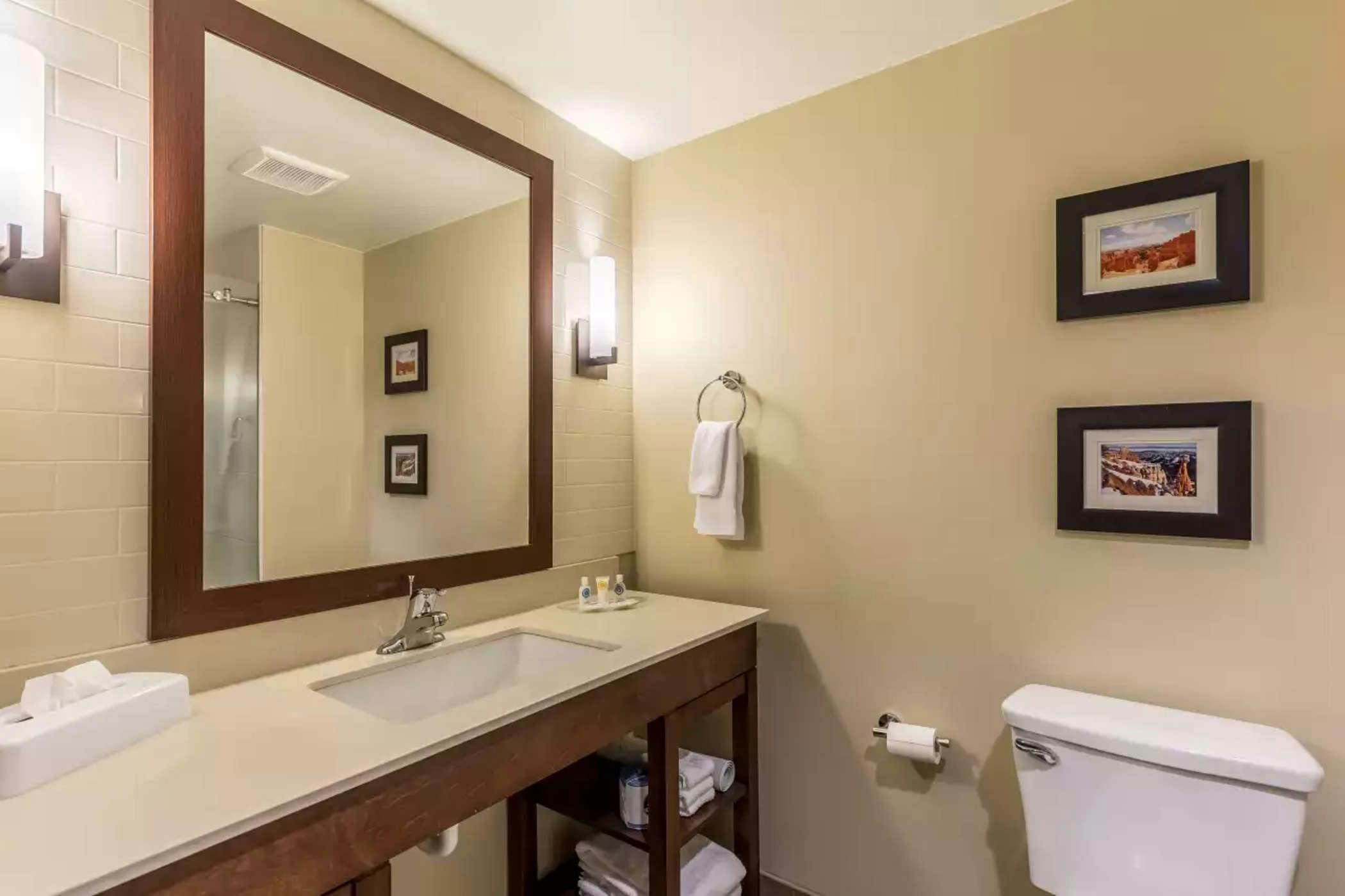 Hotel Comfort Suites St George - University Area photo 1