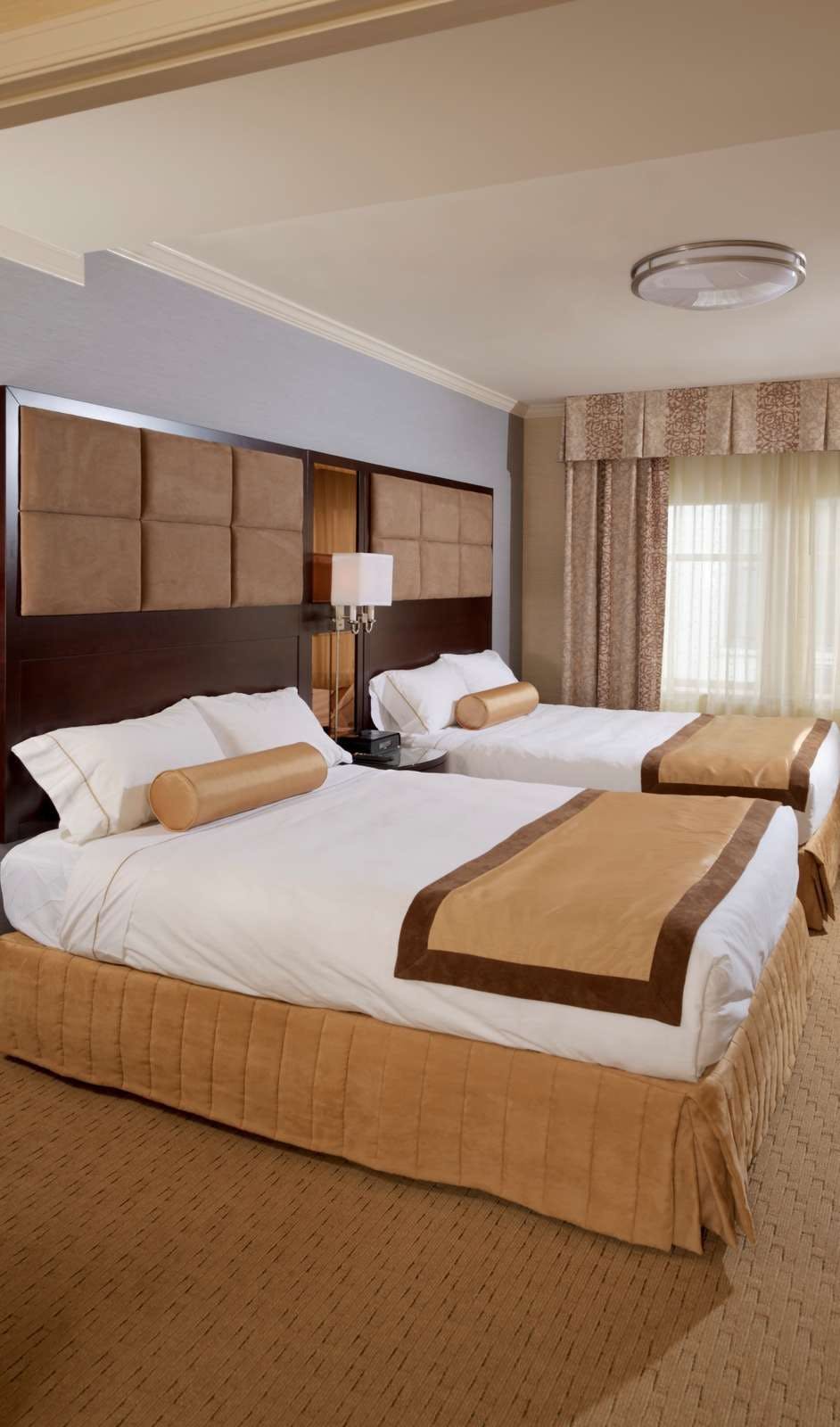 Hotel Excelsior Hotel photo 2