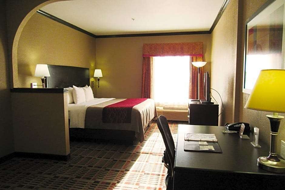 Hotel Quality Inn & Suites Lubbock South photo 3