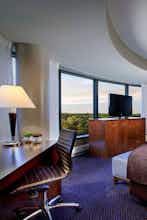 Hotel Hyatt Regency Lisle near Naperville photo 3