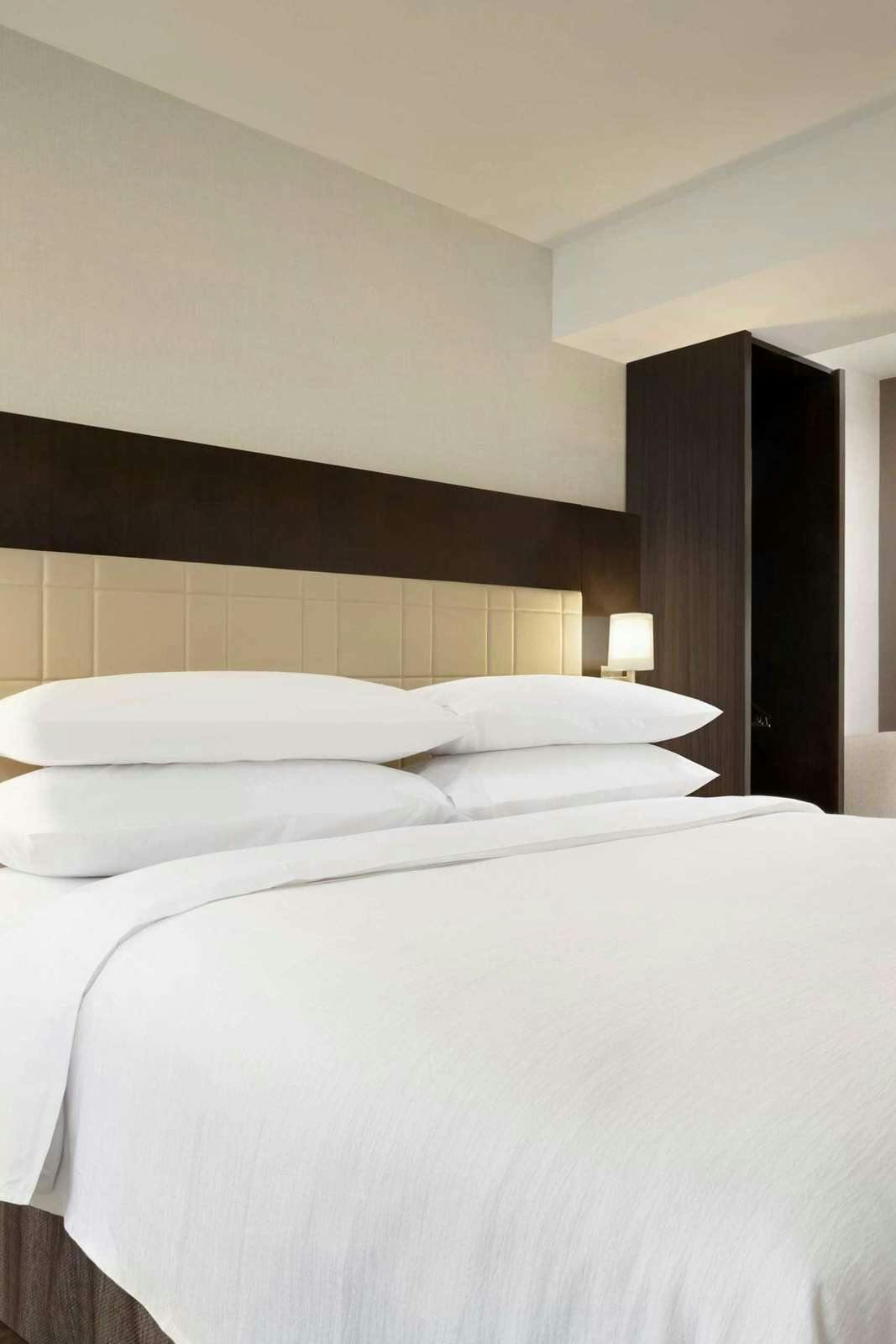 Hotel Embassy Suites by Hilton New York Manhattan Times Square photo 1