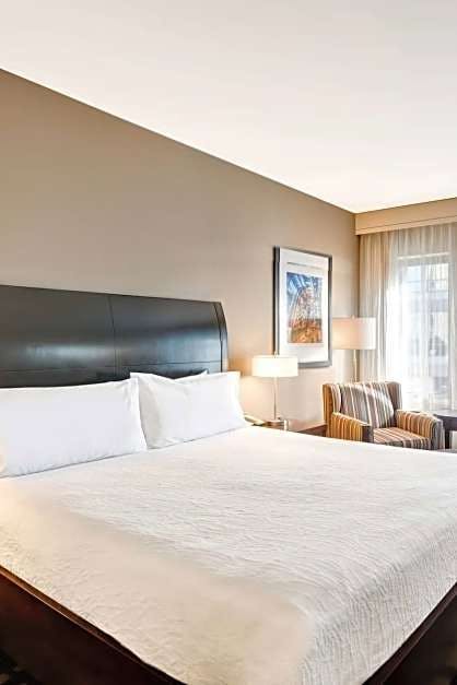 Hilton Garden Inn Chicago Downtown Magnificent Mile Chicago