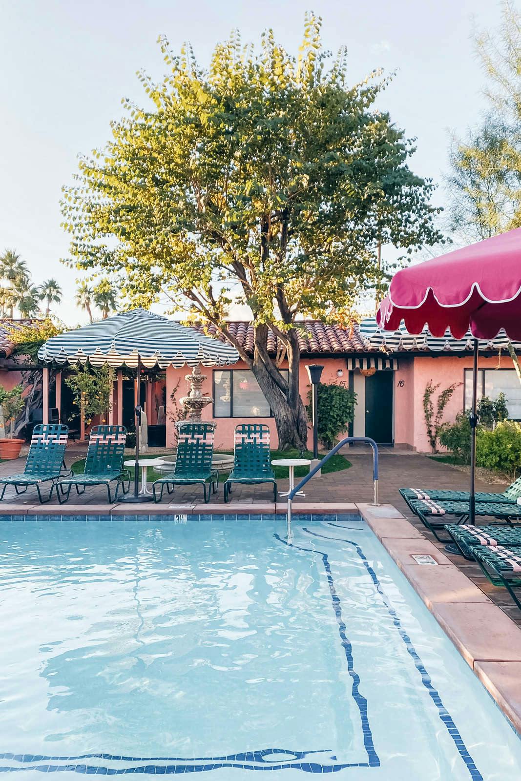 Hotel Les Cactus - Adults Only photo 1