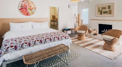 Les Cactus - Adults Only