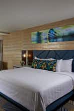 Hotel Hard Rock Hotel & Casino Atlantic City photo 1