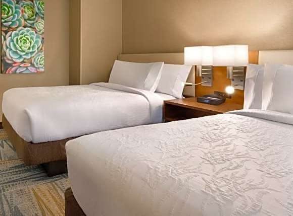 Hilton Garden Inn New York Times Square South New York City