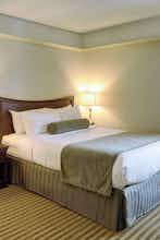 Hotel Holiday Inn & Suites Pittsfield Berkshires photo 1