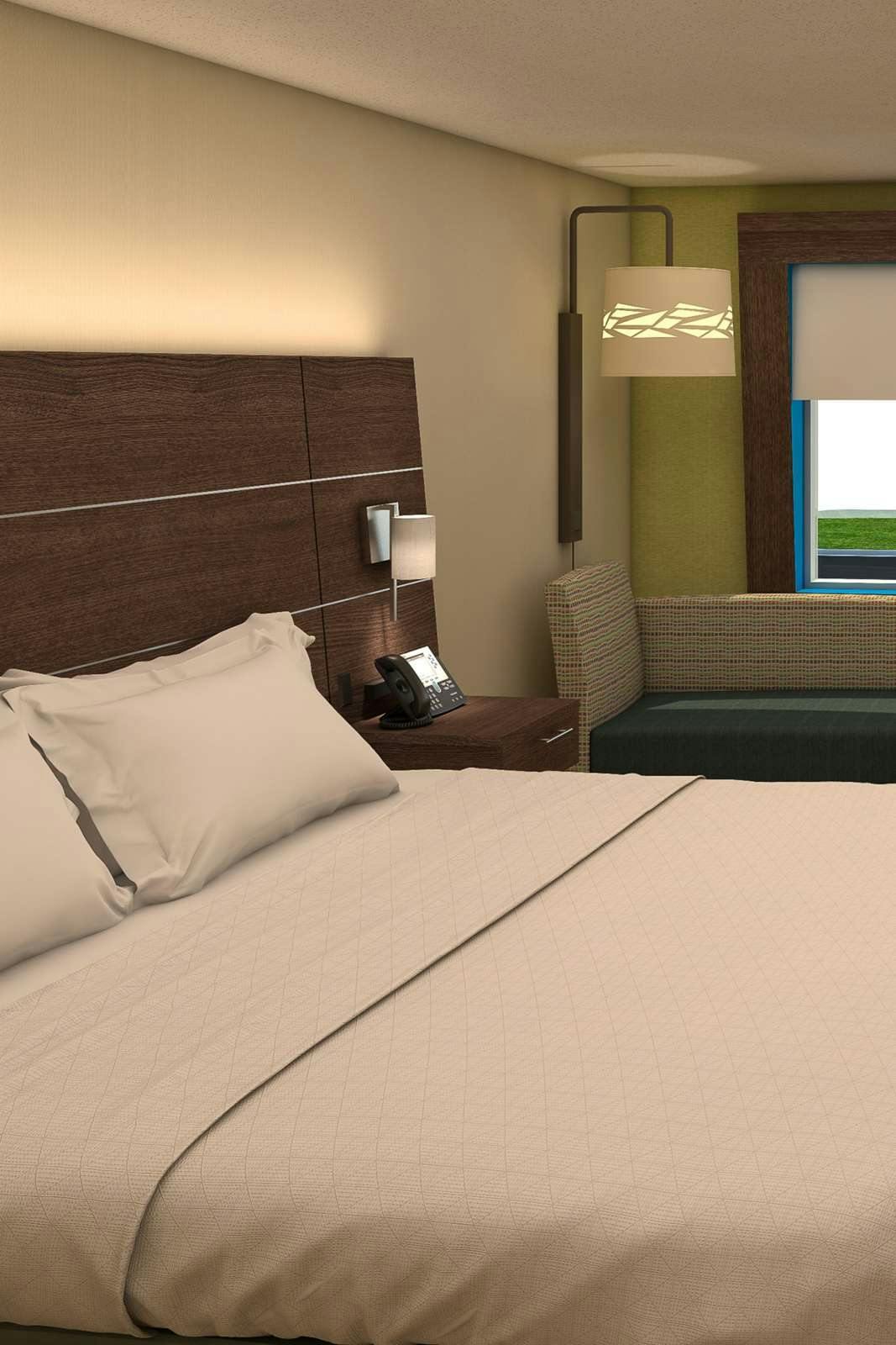 Hotel Holiday Inn Express & Suites Denver - Aurora Medical Campus photo 1