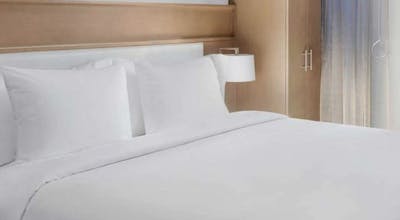 DoubleTree by Hilton New York Times Square South