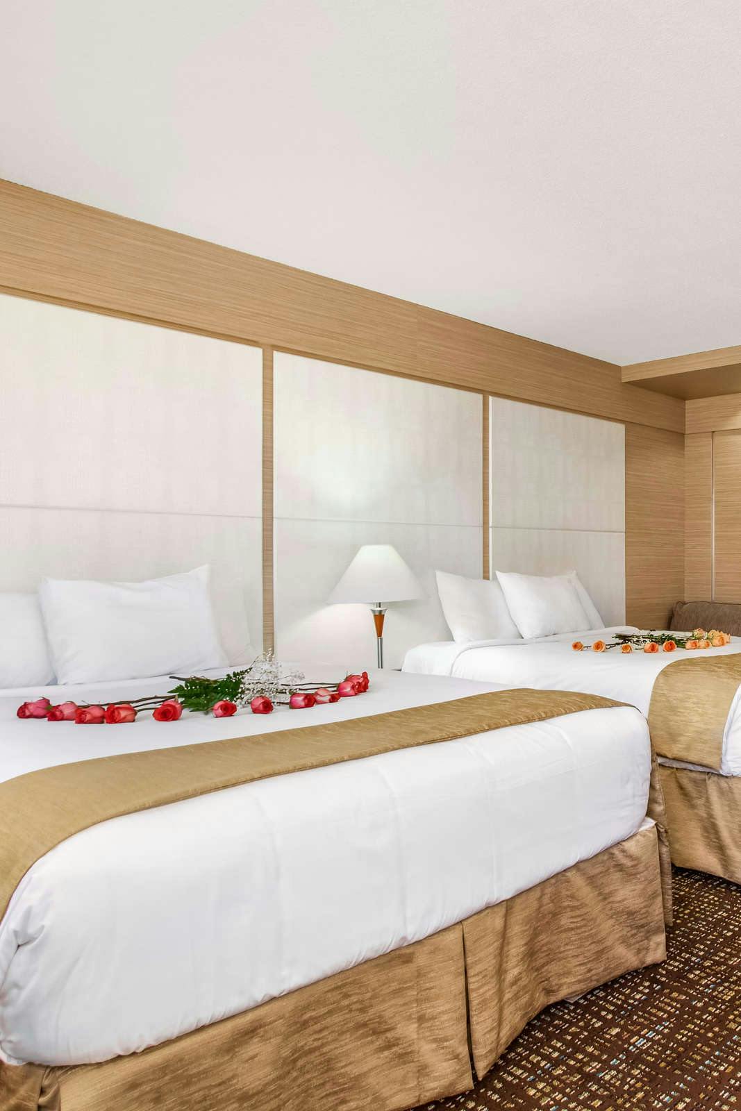 Hotel Ocean Beach Club photo 3