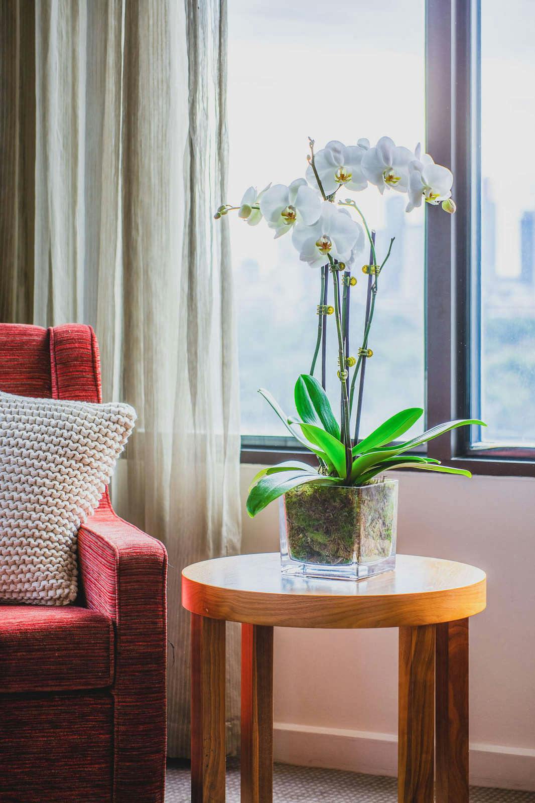 Hotel View Melbourne photo 3