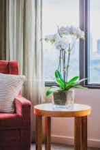 Hotel View Melbourne photo 3