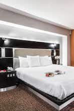 Hotel Exe Cities Reforma photo 5