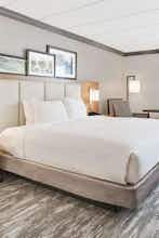 Hotel Doubletree New Orleans photo 1