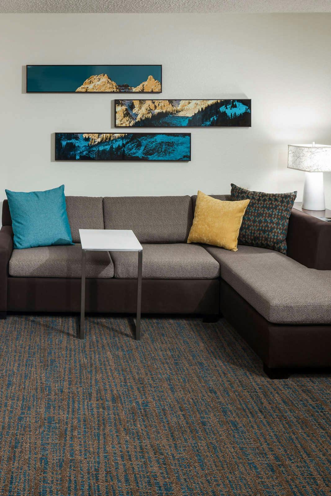 Hotel Residence Inn Denver Highlands Ranch photo 4