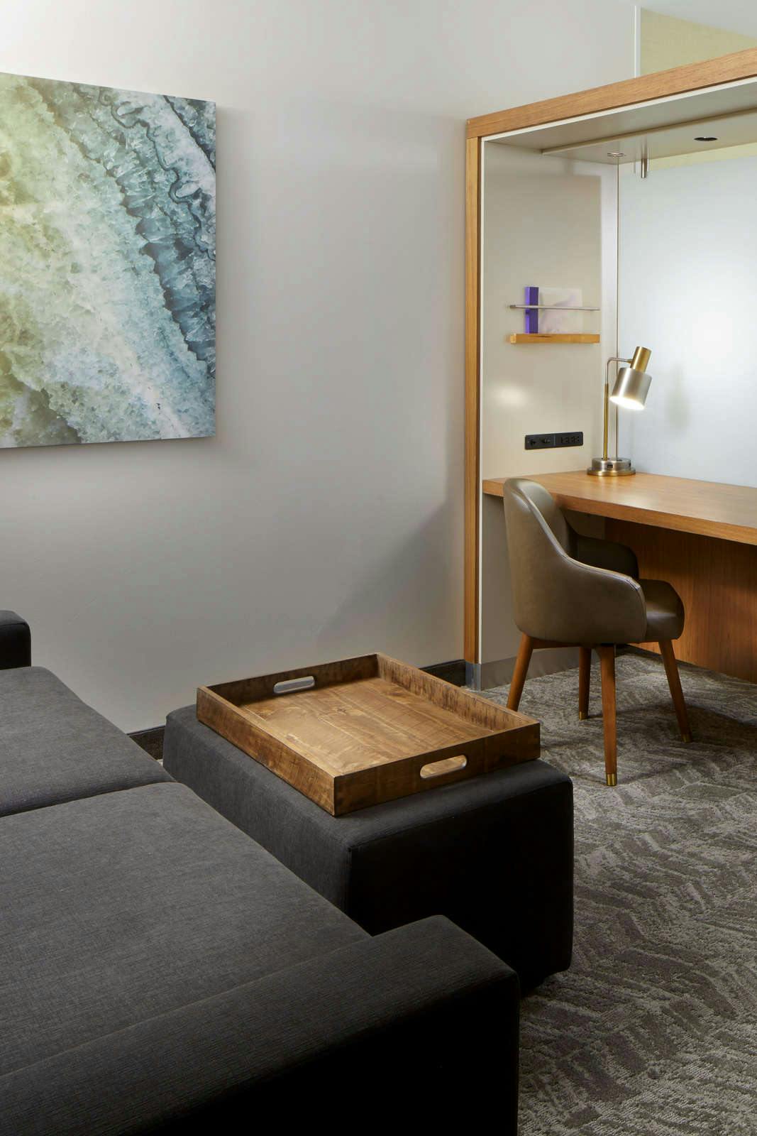 Hotel SpringHill Suites by Marriott Pittsburgh Bakery Square photo 5