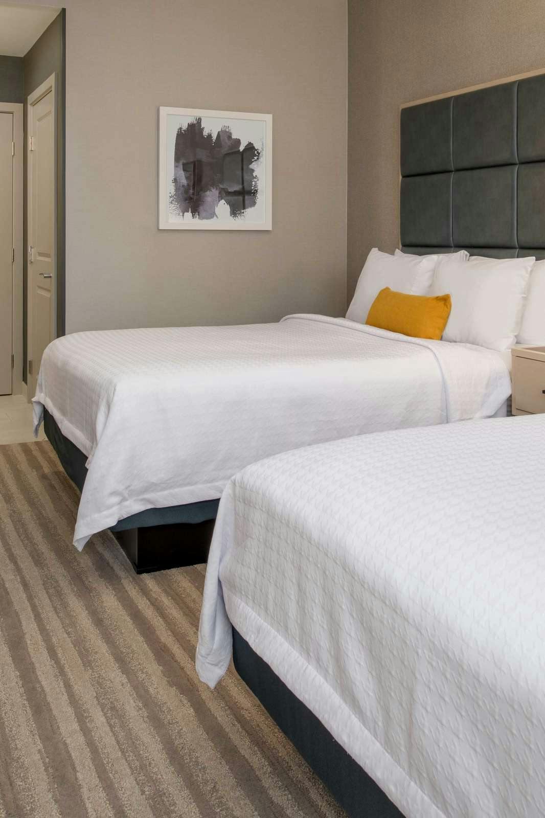 Hotel Homewood Suites by Hilton Belmont photo 4