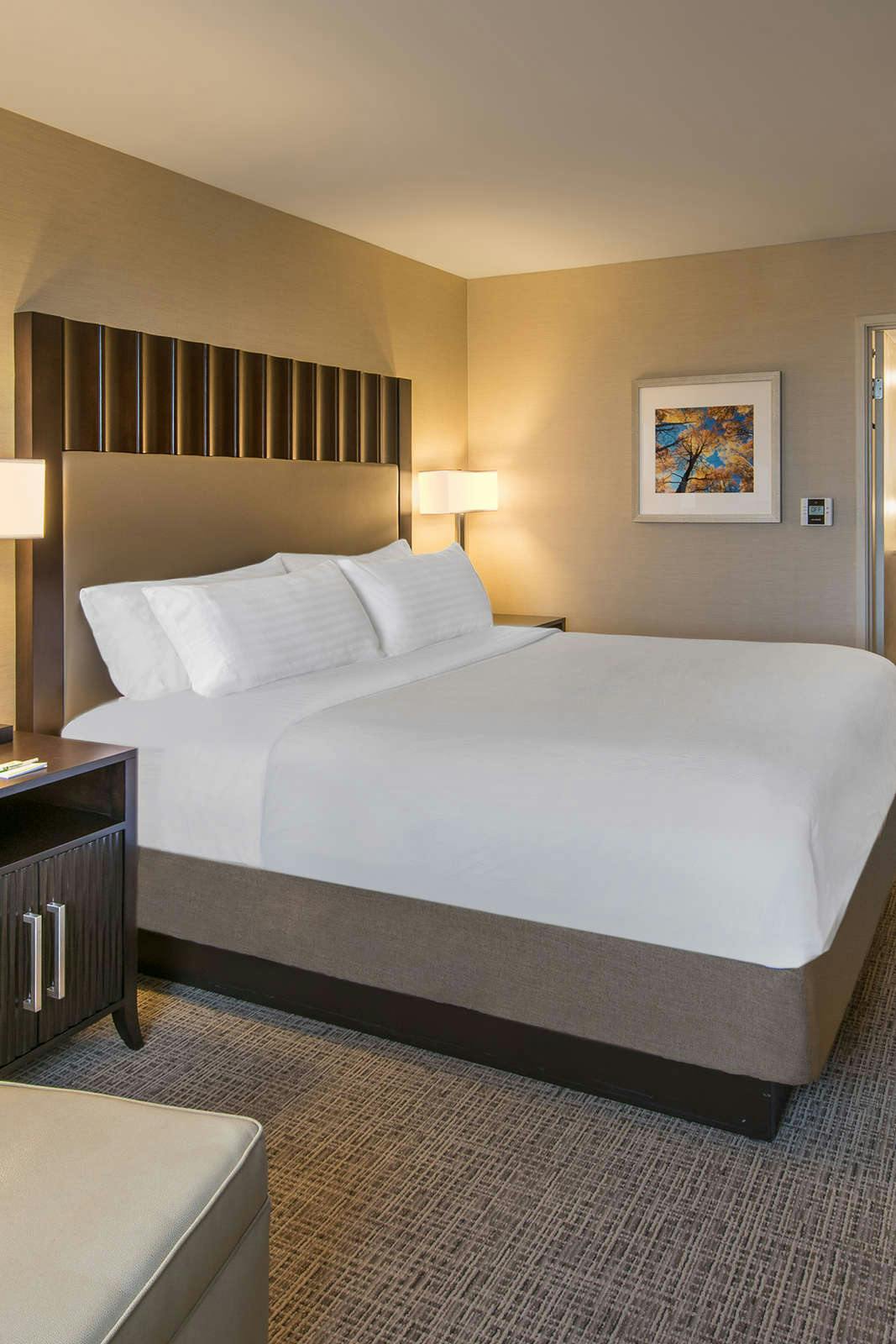 Hotel Holiday Inn Denver Lakewood photo 2