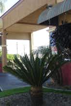 Hotel Rivera Inn and Suites Motel photo 3
