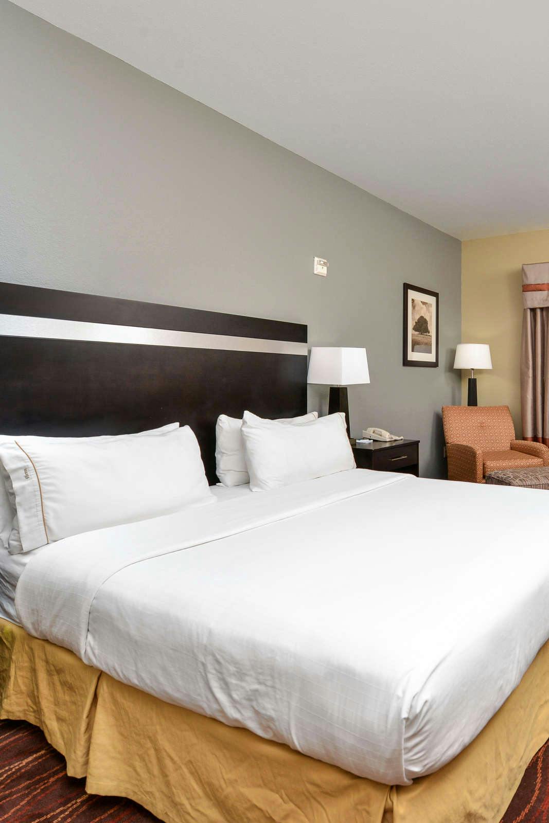 Hotel Holiday Inn Express Hotel & Suites Sunset Valley photo 3