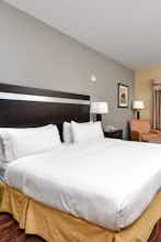 Hotel Holiday Inn Express Hotel & Suites Sunset Valley photo 3