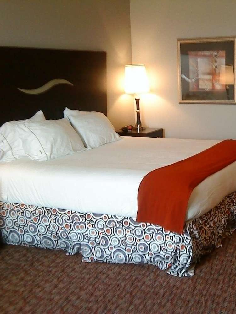 Hotel Holiday Inn Express Hotel & Suites Fort Stockton photo 1