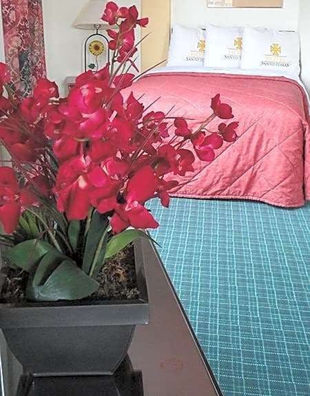 Hotel Hotel Santo Tomas photo 4