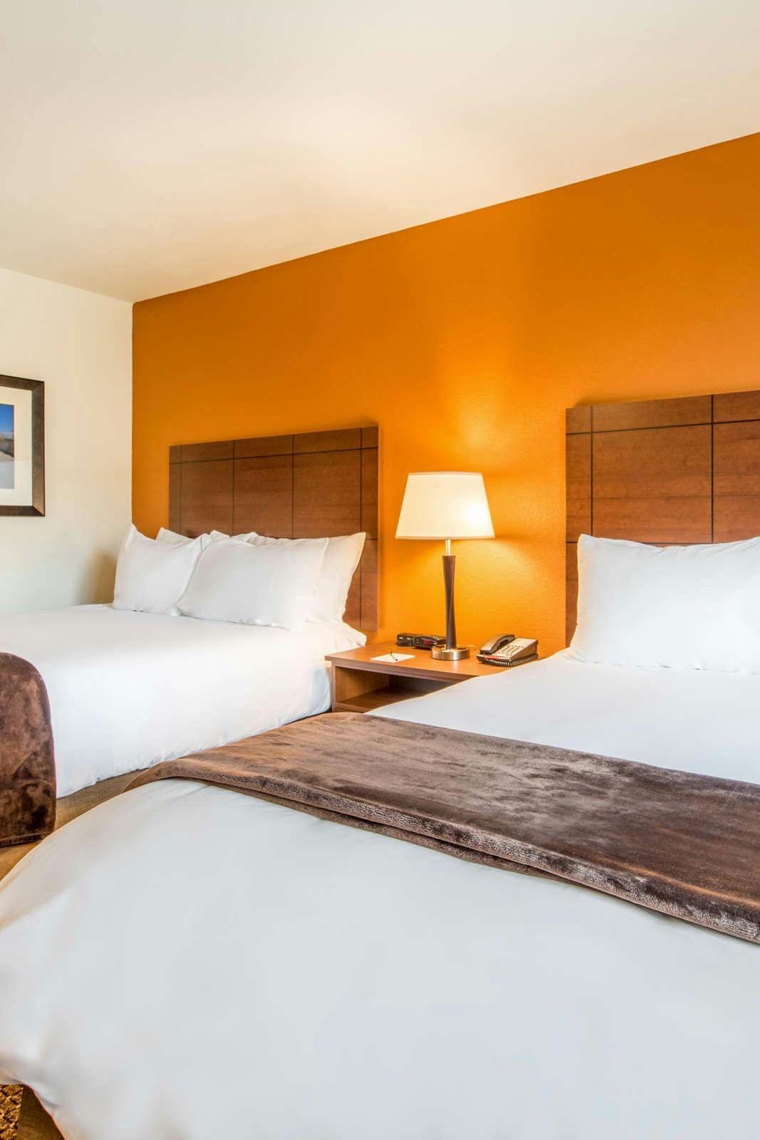 Hotel My Place Hotel-Loveland, CO photo 3